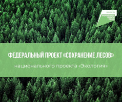 Проведение Единого дня профилактики лесных пожаров.