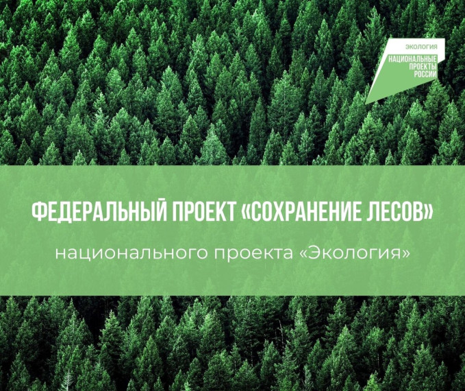 Проведение Единого дня профилактики лесных пожаров.