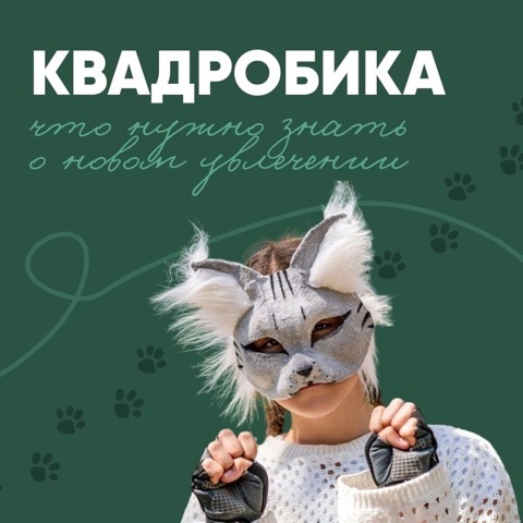 Профилактика Квадробинга.